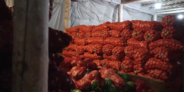 Овощные наборы от мэрии города Якутска доставят семьям участников СВО