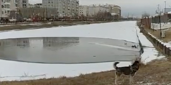 На озере Талое в Якутске запустят очистные сооружения
