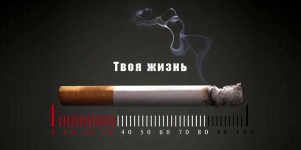 Установлена единая минимальная цена табачной продукции в 2024г