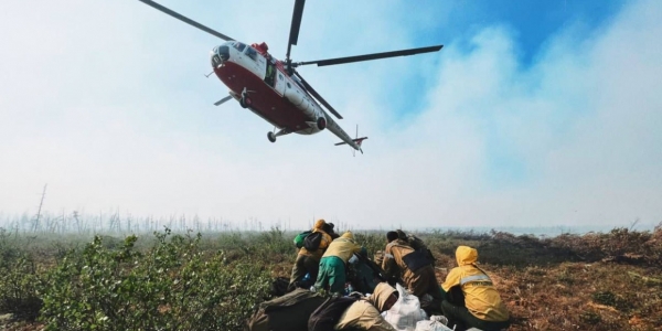 48 лесных пожаров и 2 ландшафтных пожара зарегистрировано в Якутии