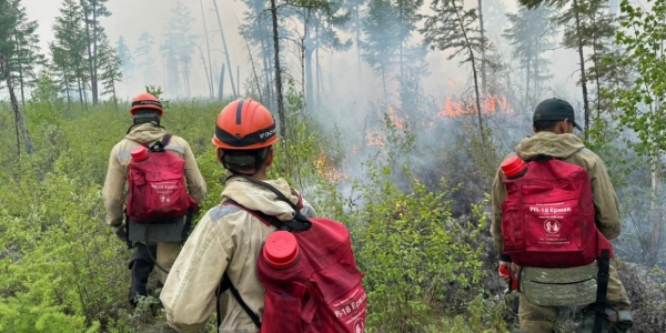 В Якутии действуют 58 лесных пожаров