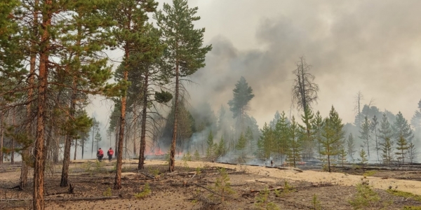 109 лесных пожаров зарегистрировано на территории Якутии