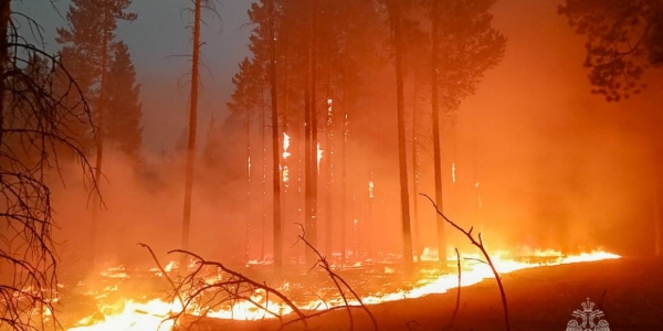 За сутки ликвидировано 20 природных пожаров