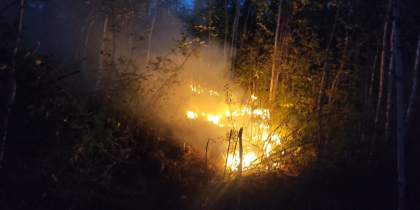 В Якутии действует 141 природный пожар
