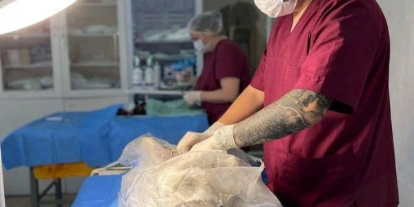 Бесплатные операции по стерилизации животных проведут в Якутске