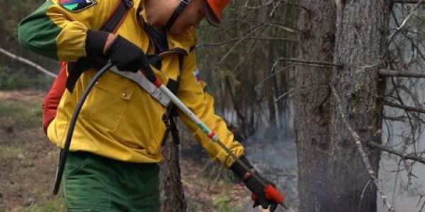 11 лесных пожаров потушено в Якутии за сутки