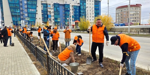 100 саженцев высадили в рамках акции «Золотая аллея» в Якутске