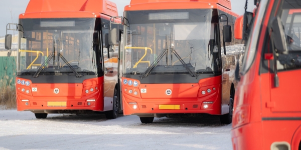 Частные перевозчики Якутска получат 74 новых автобуса