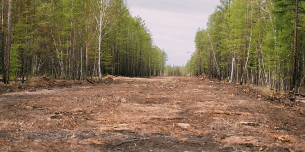 В Якутске 107 многодетных семей получили земельные участки