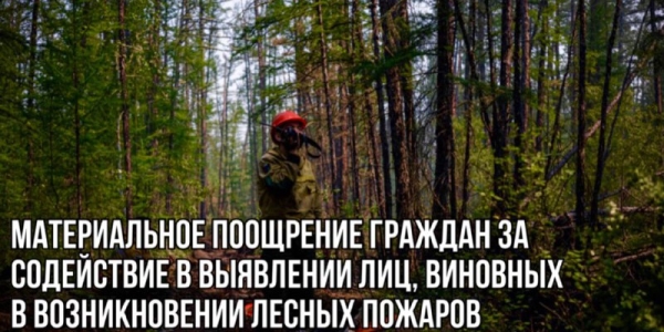 В Якутии установлено денежное вознаграждение за выявление поджигателей леса