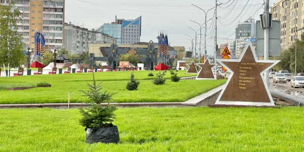 Голубые ели высадили на площади Победы в Якутске