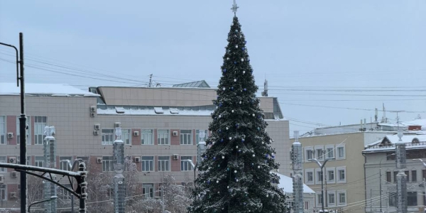 Демонтаж новогодней елки на площади Ленина начнется завтра