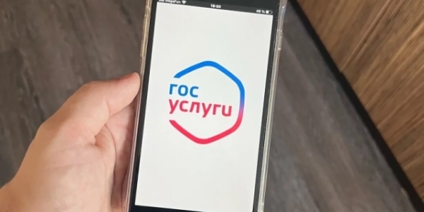 Житель Якутска покупал симки и проникал в чужие личные кабинеты на «Госуслугах»