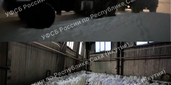 В Якутск ехало 16 тонн незаконно добытой рыбы