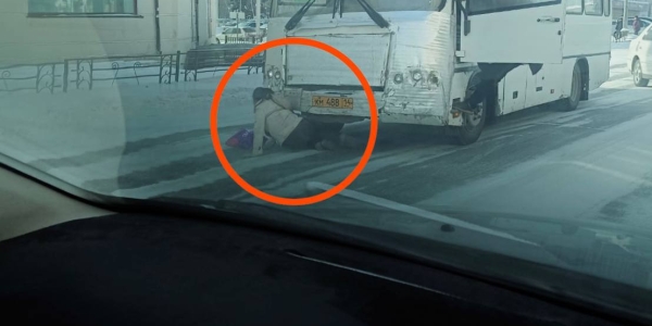 В соцсетях сообщают, что в Якутске автобус наехал на женщину