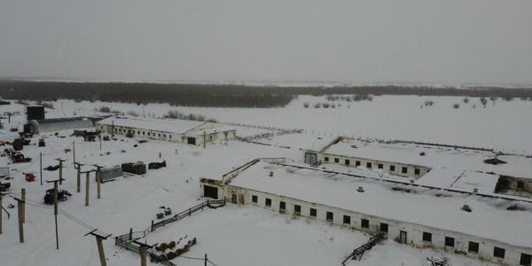 На ферме в пригороде Якутска нашли нарушения с помощью дрона
