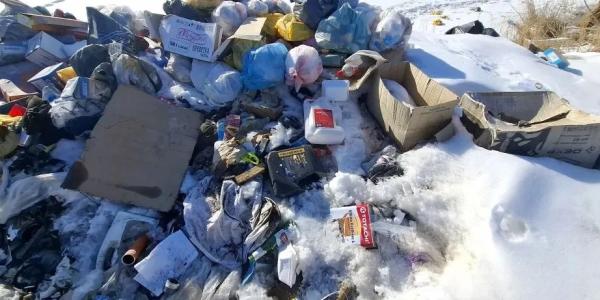 У Теплого озера обнаружили несанкционированную свалку