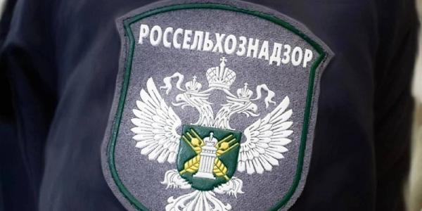 В Якутию пытались завезти мясо под видом овощей