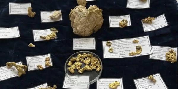 Более 10 кг золота незаконно находилось во владении АО «Якутскгеология»