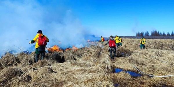 Лесные пожары действуют в пяти районах Якутии