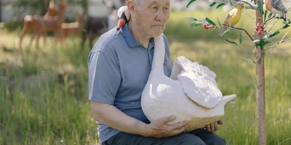 «Диснейленд по-якутски»: бывший электрик создает скульптуры животных у себя во дворе