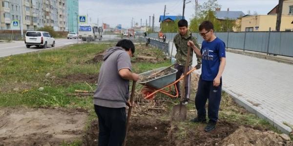На улице Ларионова в Якутске высадят 650 саженцев деревьев и кустарников