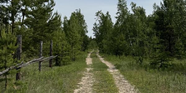 В Якутске установлен особый противопожарный режим. Ходить в лес нельзя