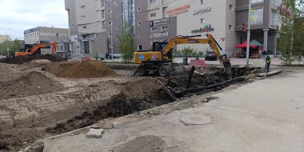 На ул. Ойунского вырубят и обрежут деревья ради безопасности движения
