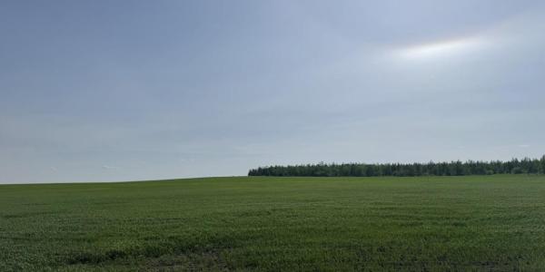 Прогноз погоды в Якутске на среду