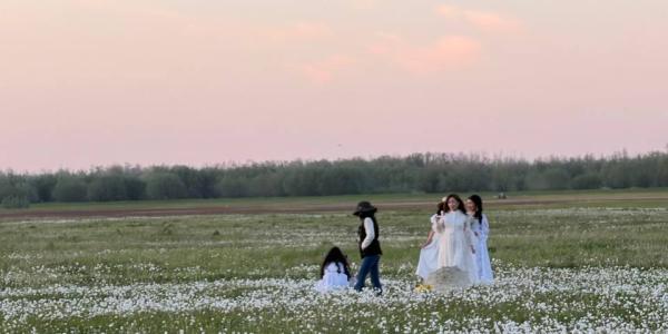 Якутяне устраивают фотосессии среди цветочных полей