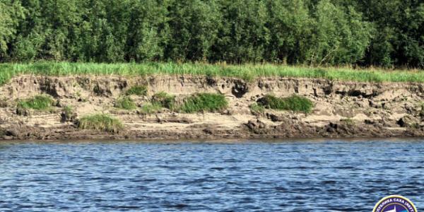 В Якутске ищут пропавшего в лесу мужчину