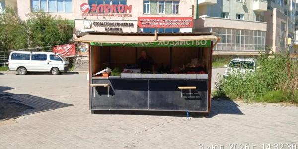 Жители Якутска возмутились продажей овощей с ул. Труда под видом местной продукции