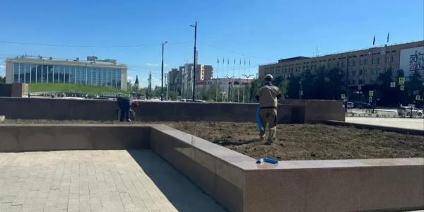 Площадь Ленина не озеленена по вине подрядчика — СЭТО сделает это сама