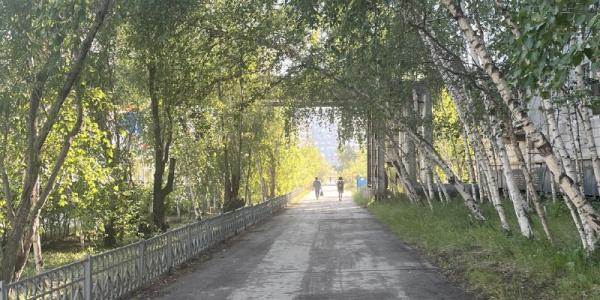 Прогноз погоды в Якутске на воскресенье