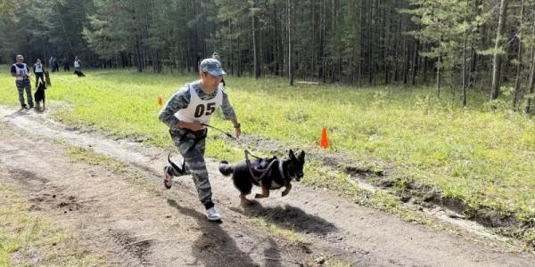 В Якутске прошли соревнования среди служебных собак