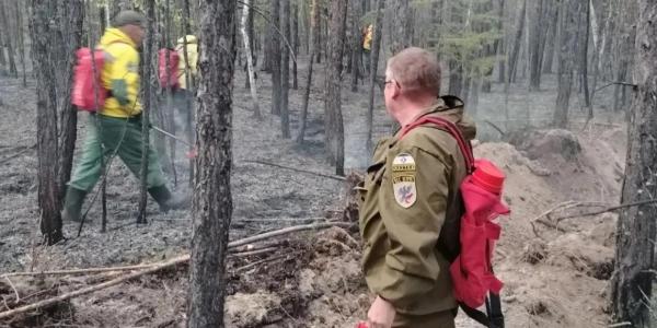 На сопке по Покровскому тракту загорелся лес. Пожар потушили