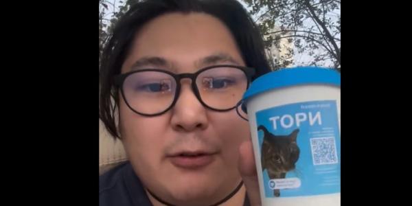 Frozen Pets запустили акцию с кофейнями Якутска для пристройства бездомных кошек