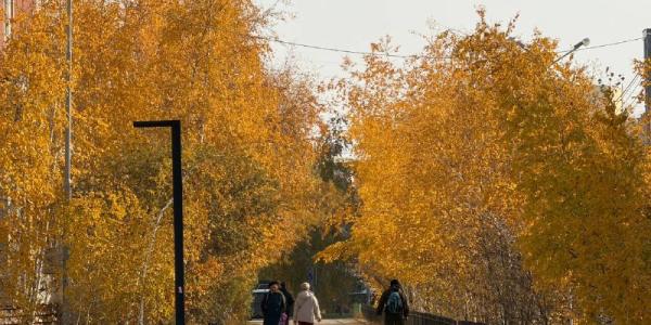 Прогноз погоды в Якутске на пятницу