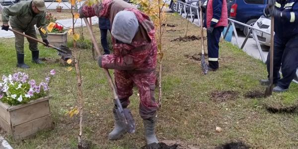 «Пригороды — городу»: Табага высадила больше всего саженцев в Якутске