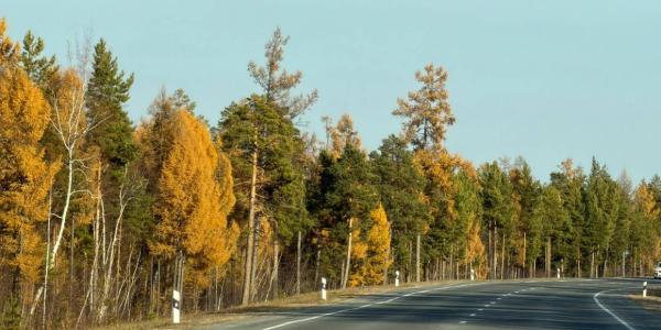 Прогноз погоды в Якутске на субботу, 26 сентября