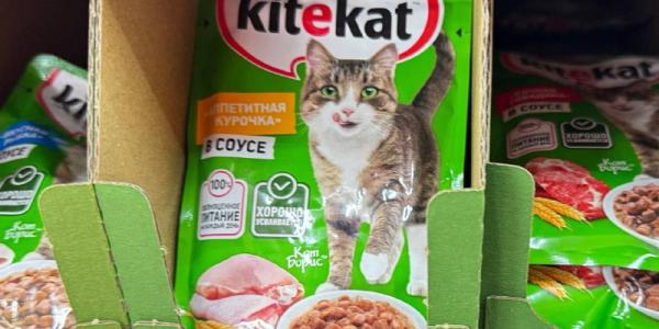 Сколько стоит корм для кошек в Якутске. Инфографика