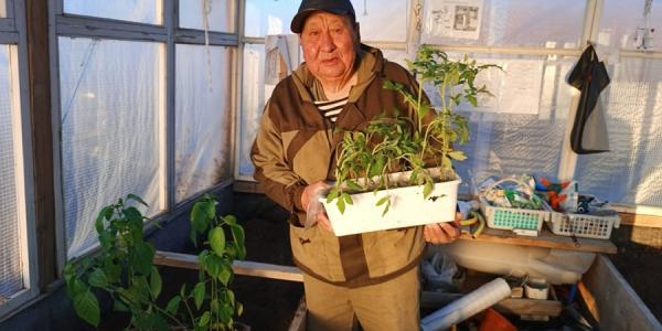 Бабье лето, а после — дожди. Тускул дал прогноз на сентябрь