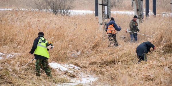 В Якутске меценатов призвали помочь в расчистке городских озёр от камыша