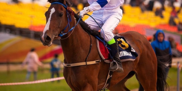 Победители конных скачек на призы главы города Якутска