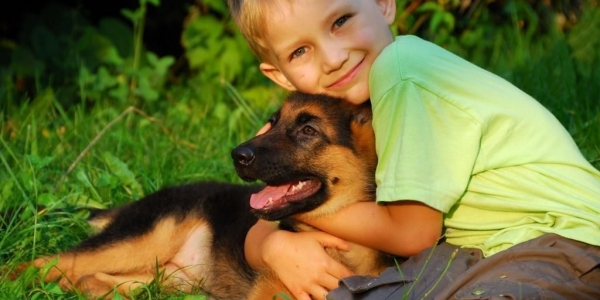 Детей с аутизмом лечат собаки