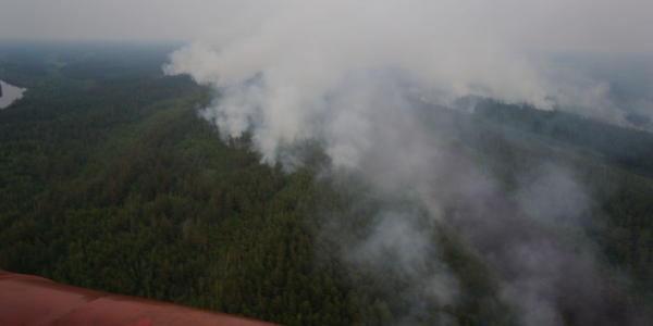 Кто борется с лесными пожарами, или Один день из жизни Авиалесоохраны