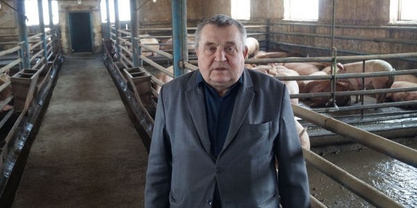 Дело жизни Владимира Кабохина, или Как построить свиноферму