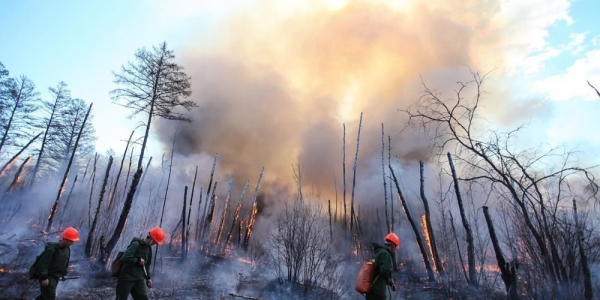 Лесные пожары тушили свыше 8 тысяч человек