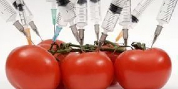 Запретят ли ГМО и консерванты?