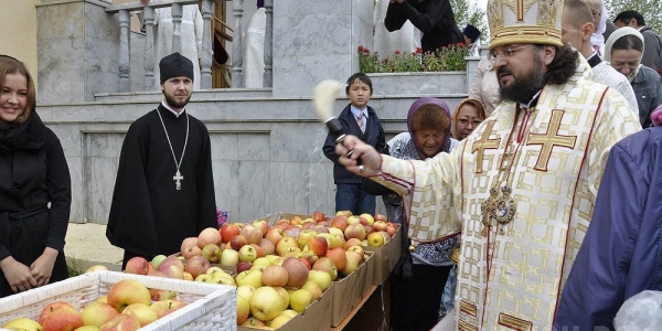 Добровольцы угостили яблоками воспитанников коррекционных школ